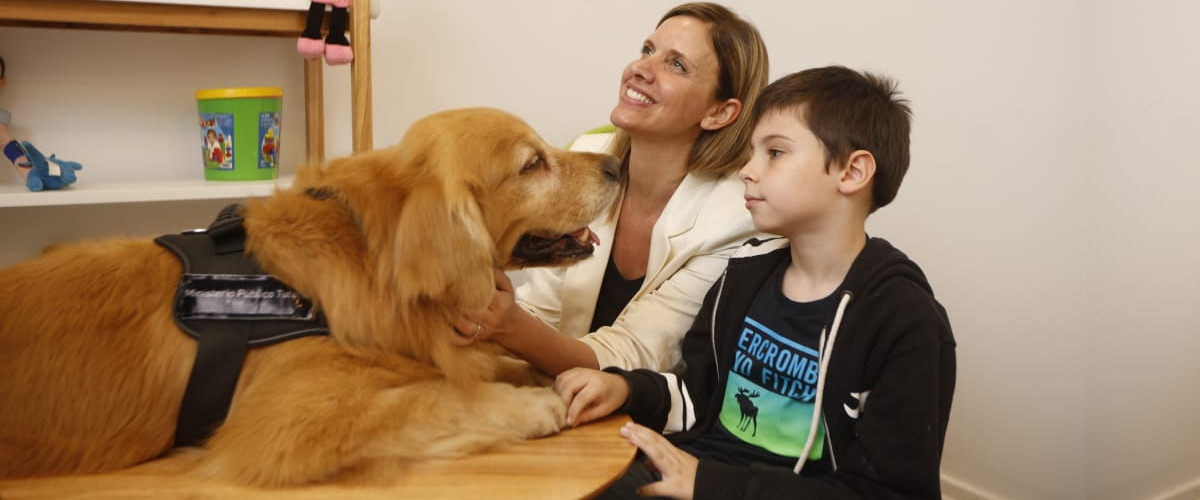 El MPT incorporó el Programa "Perro de Terapia para Asistencia Judicial" a la Sala de Entrevistas Especializada