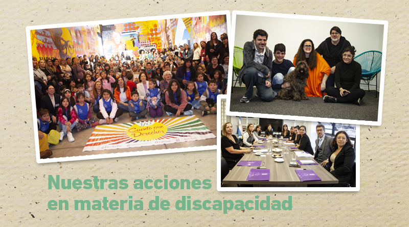 Acciones en materia de discapacidad